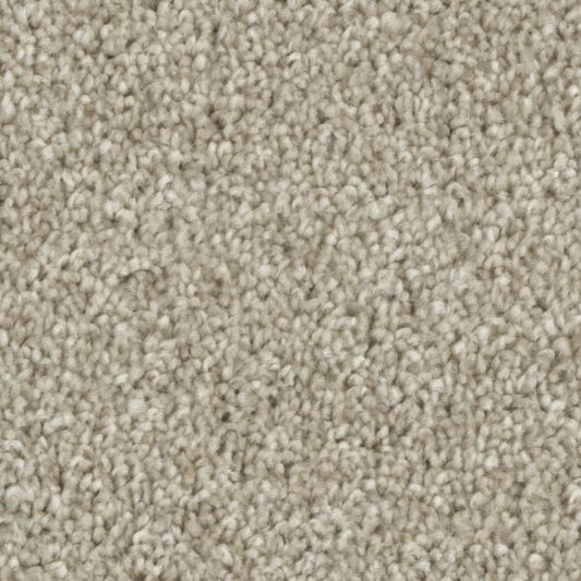 Tempt Carpet Series - Phenix Carpet 42oz