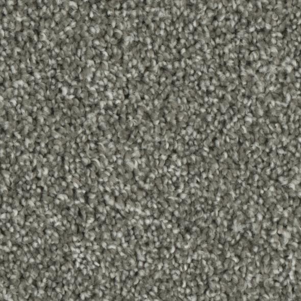Tempt Carpet Series - Phenix Carpet 42oz