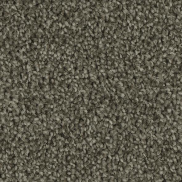 Tempt Carpet Series - Phenix Carpet 42oz