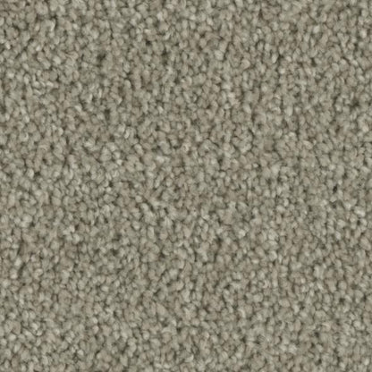 Entice Carpet Series - Phenix Carpet 30oz
