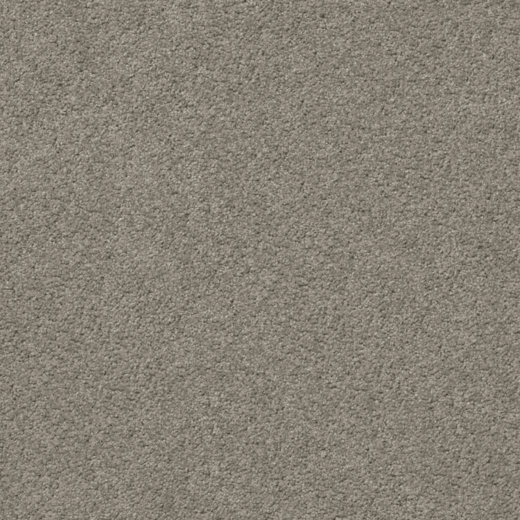 Momentum Carpet Series