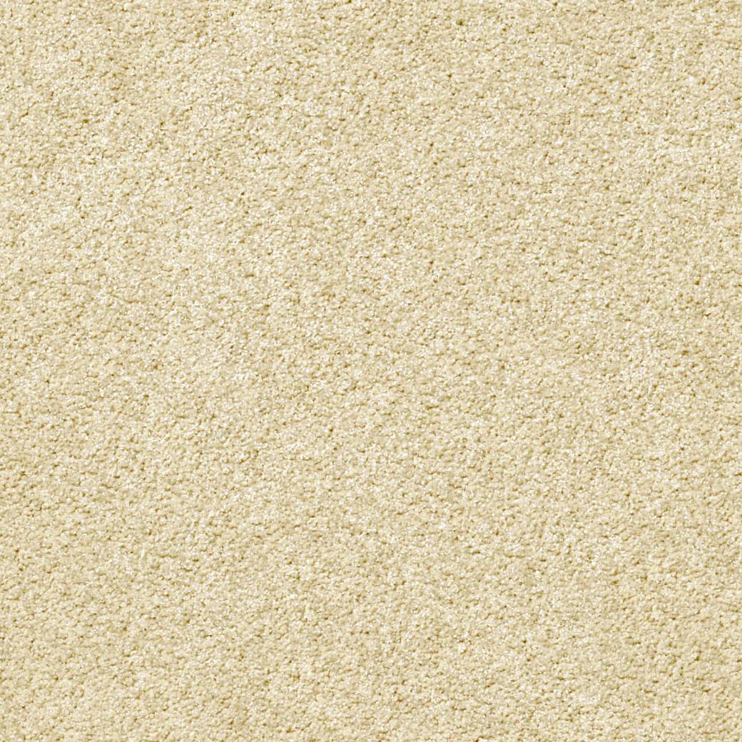 Momentum Carpet Series