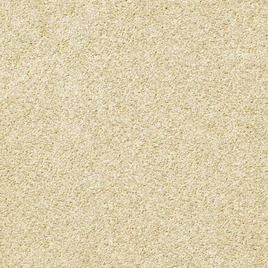 Momentum Carpet Series