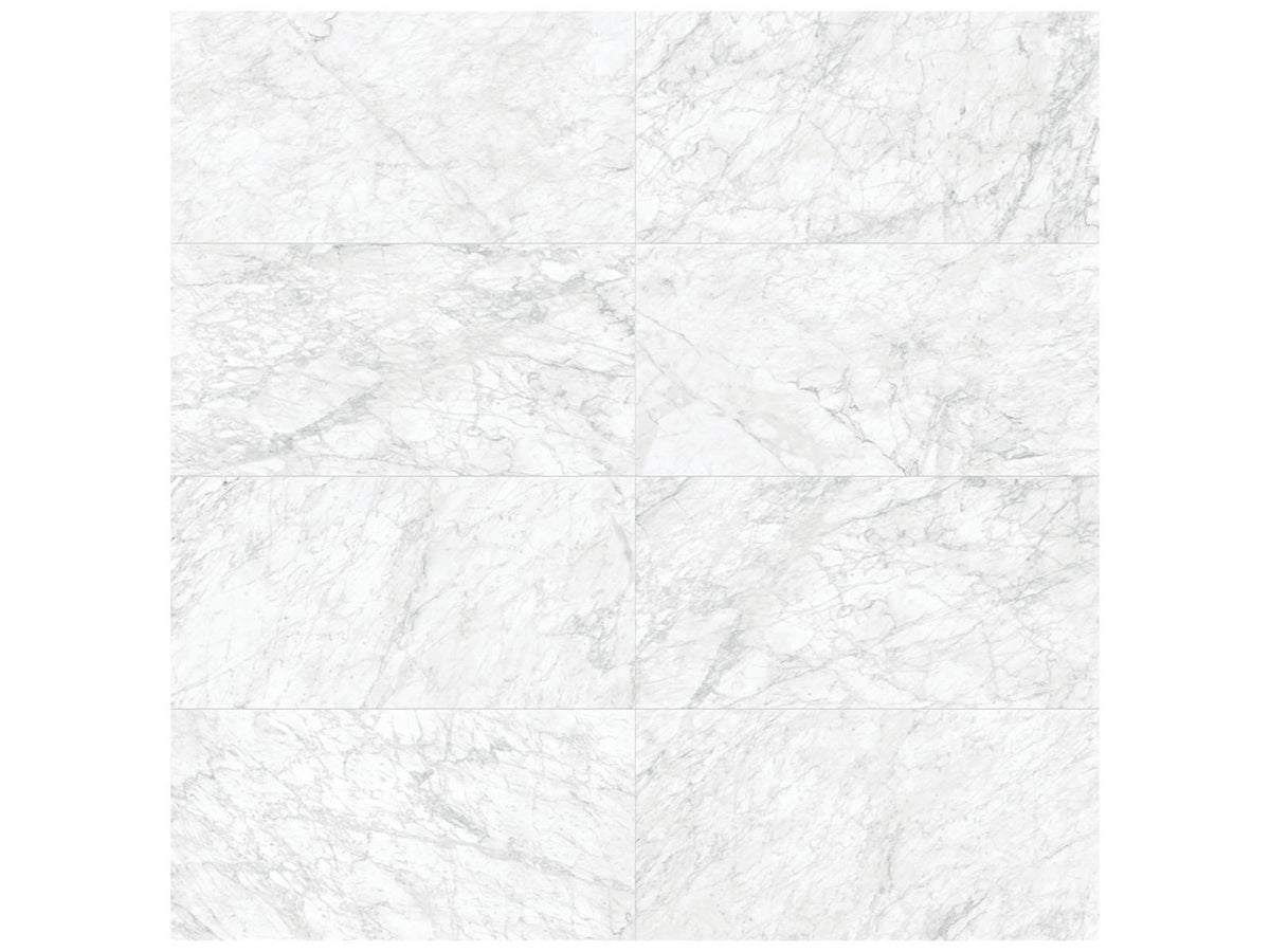 Majesto Bianco Gioia Porcelain Tile 12 x 24 in Honed