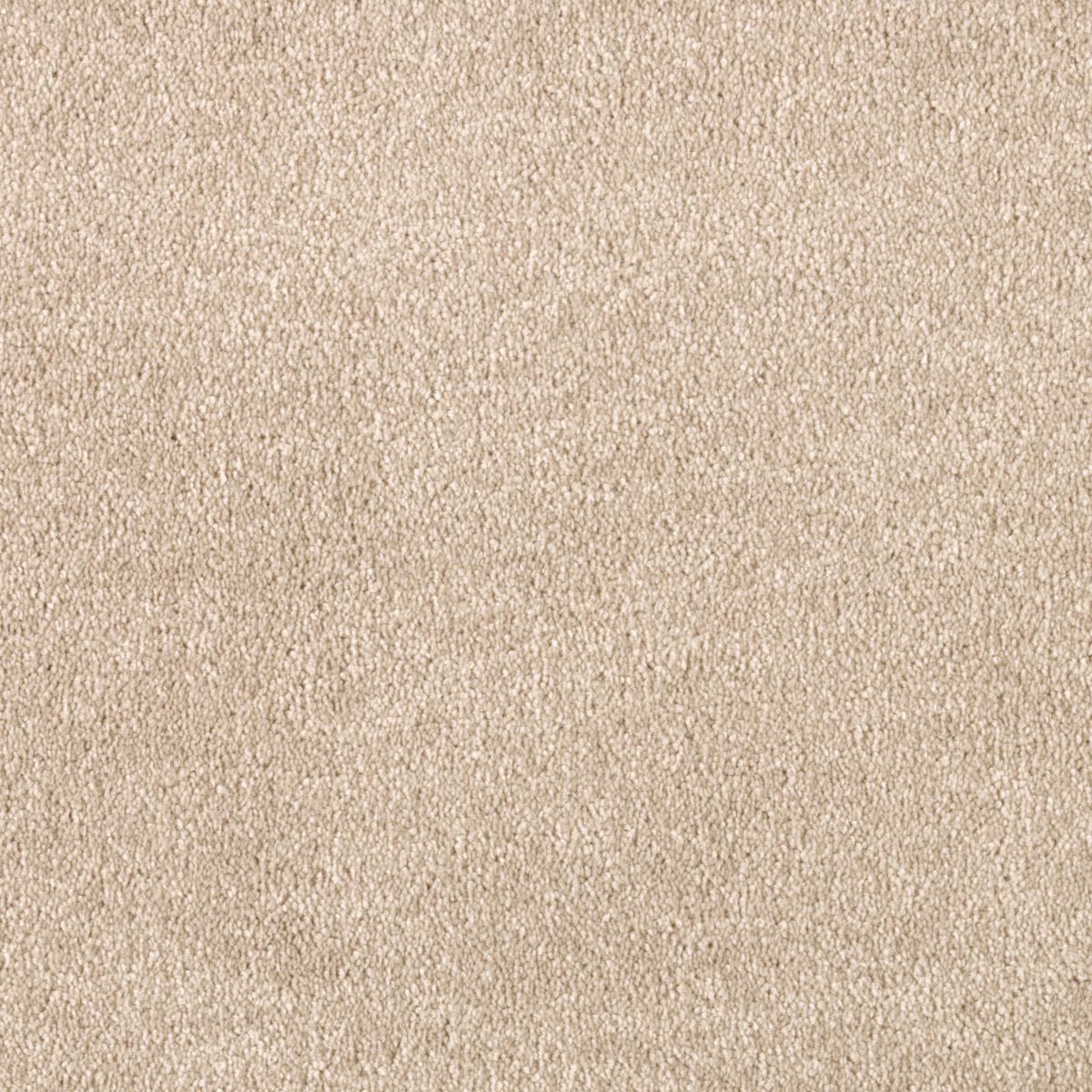 Vivid Instinct carpet in Pebblestone