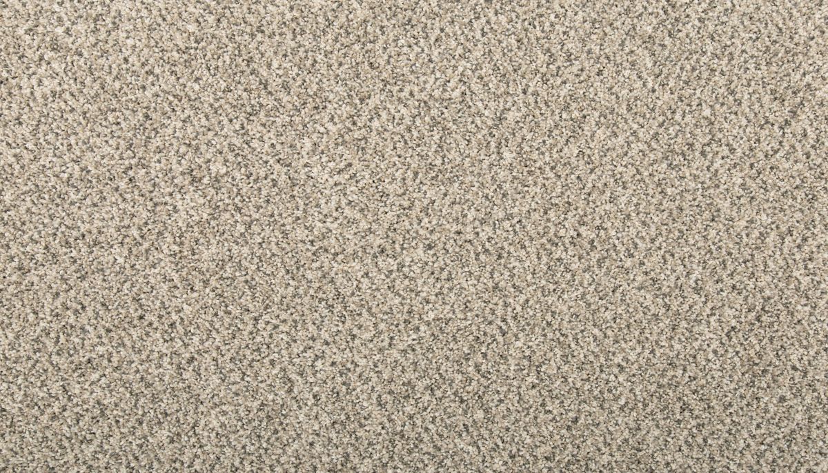 Plateau I carpet in Silver Dollar