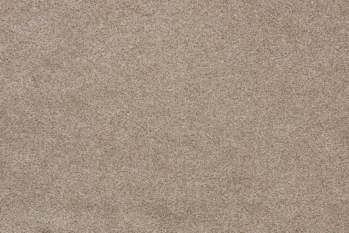 Terrain I carpet in Elk Beige