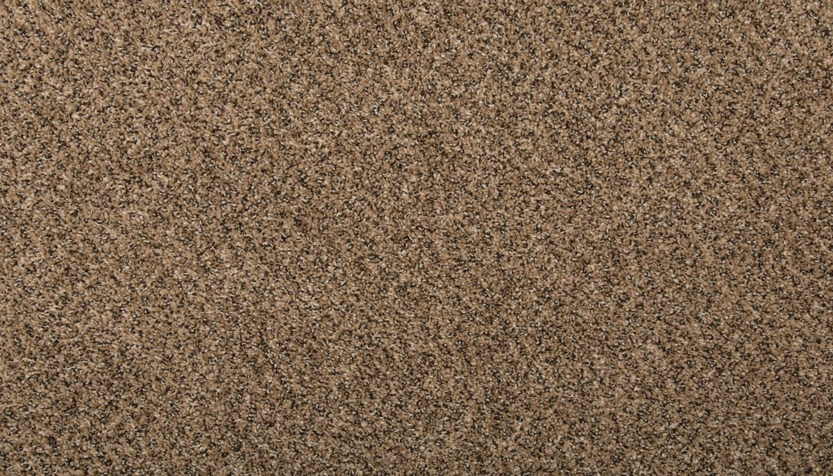 Remodeled II carpet in Pretzel Twist