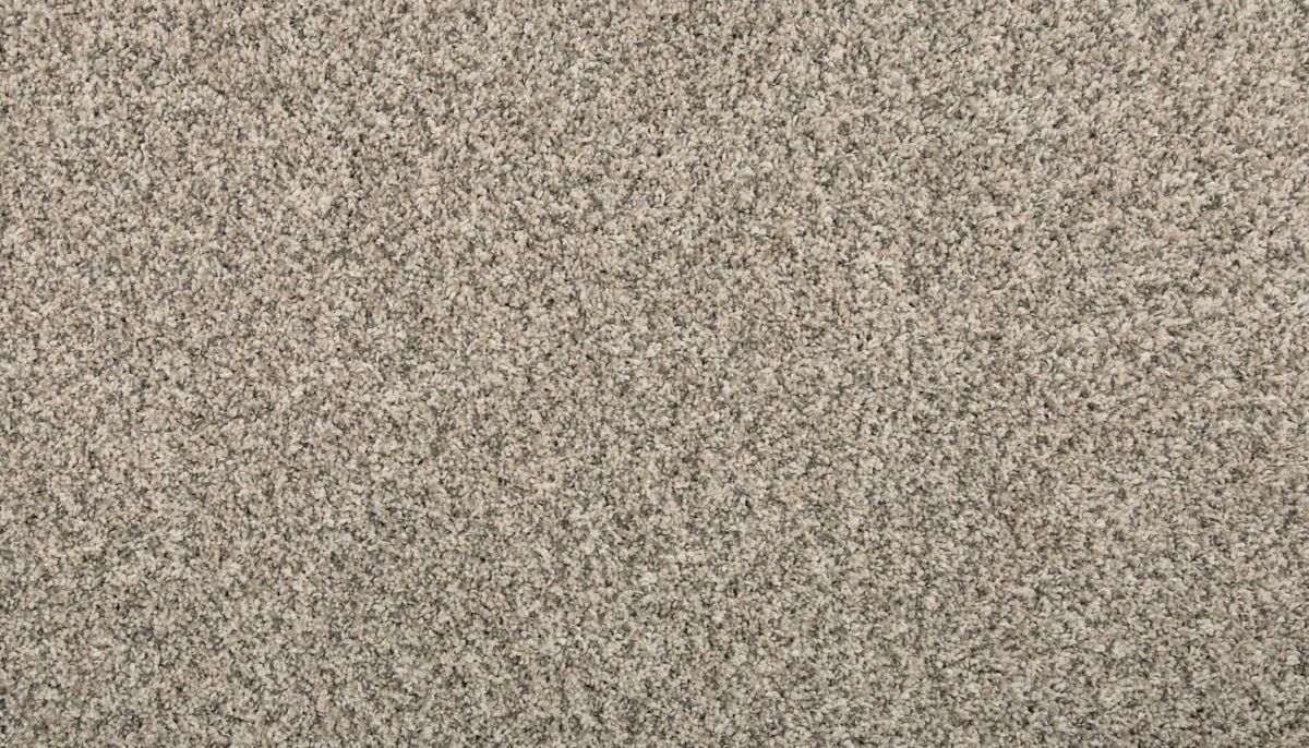 Revamped II carpet in Silver Dollar
