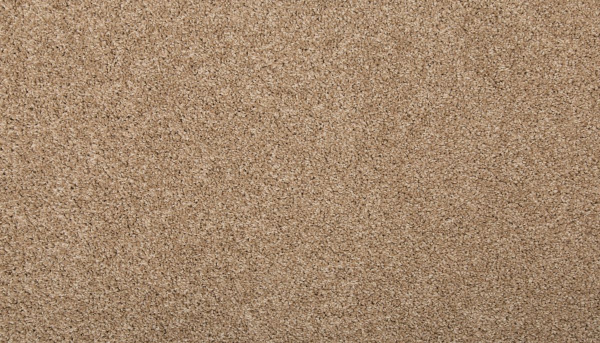 Revamped II carpet in Toffee Cream