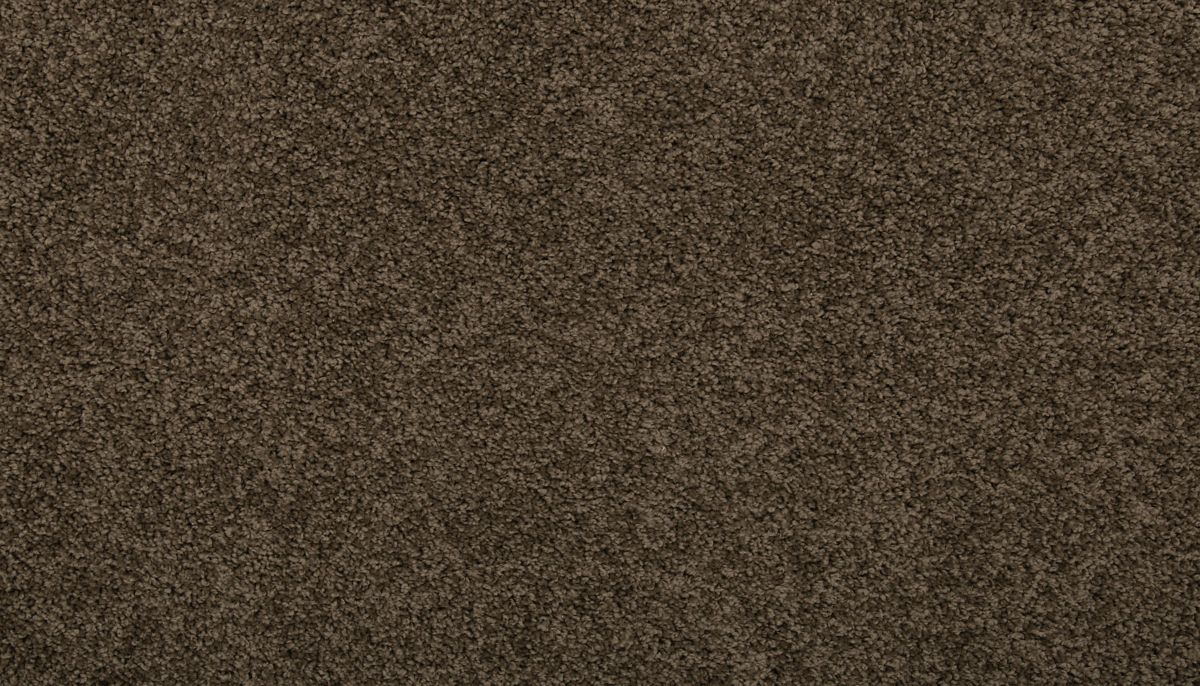 Remodeled II carpet in Husk