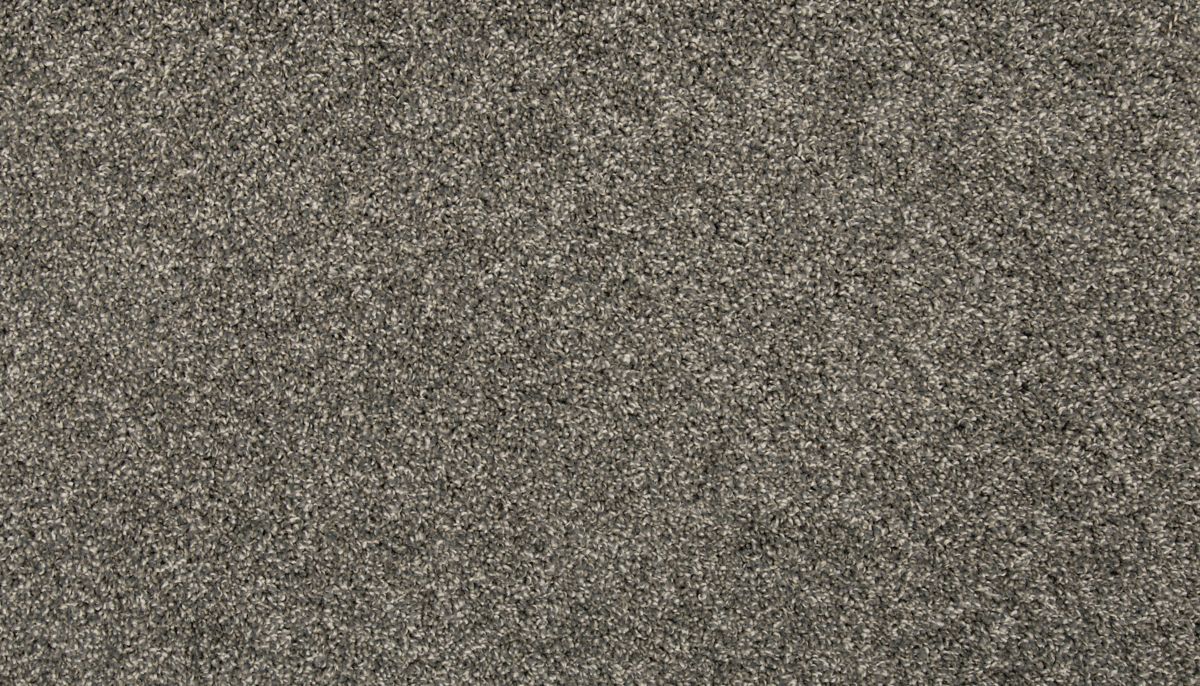 Revamped II carpet in Steelbeam