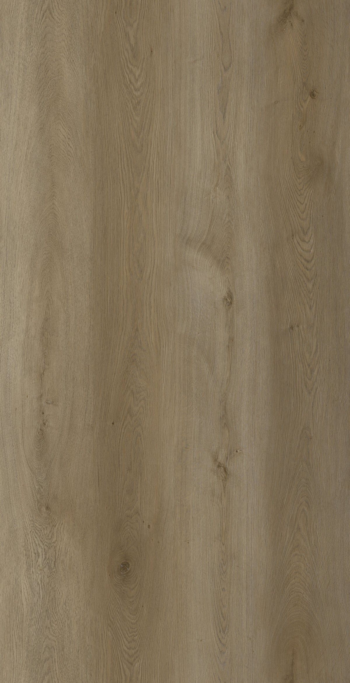 Vizion Marvelous 7 Yellowstone 7mm SPC Vinyl Plank - Yellowstone