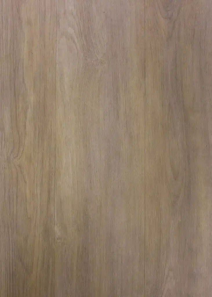 Belleview Royal glue-down vinyl flooring