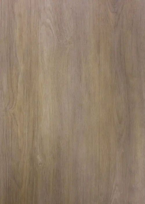 Belleview Royal glue-down vinyl flooring