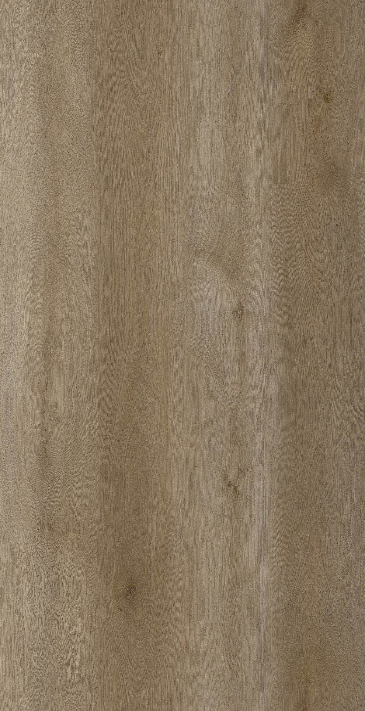 Vizion Marvelous 8 Glacier 8mm SPC Vinyl Plank 7.2x60.8 - Glacier