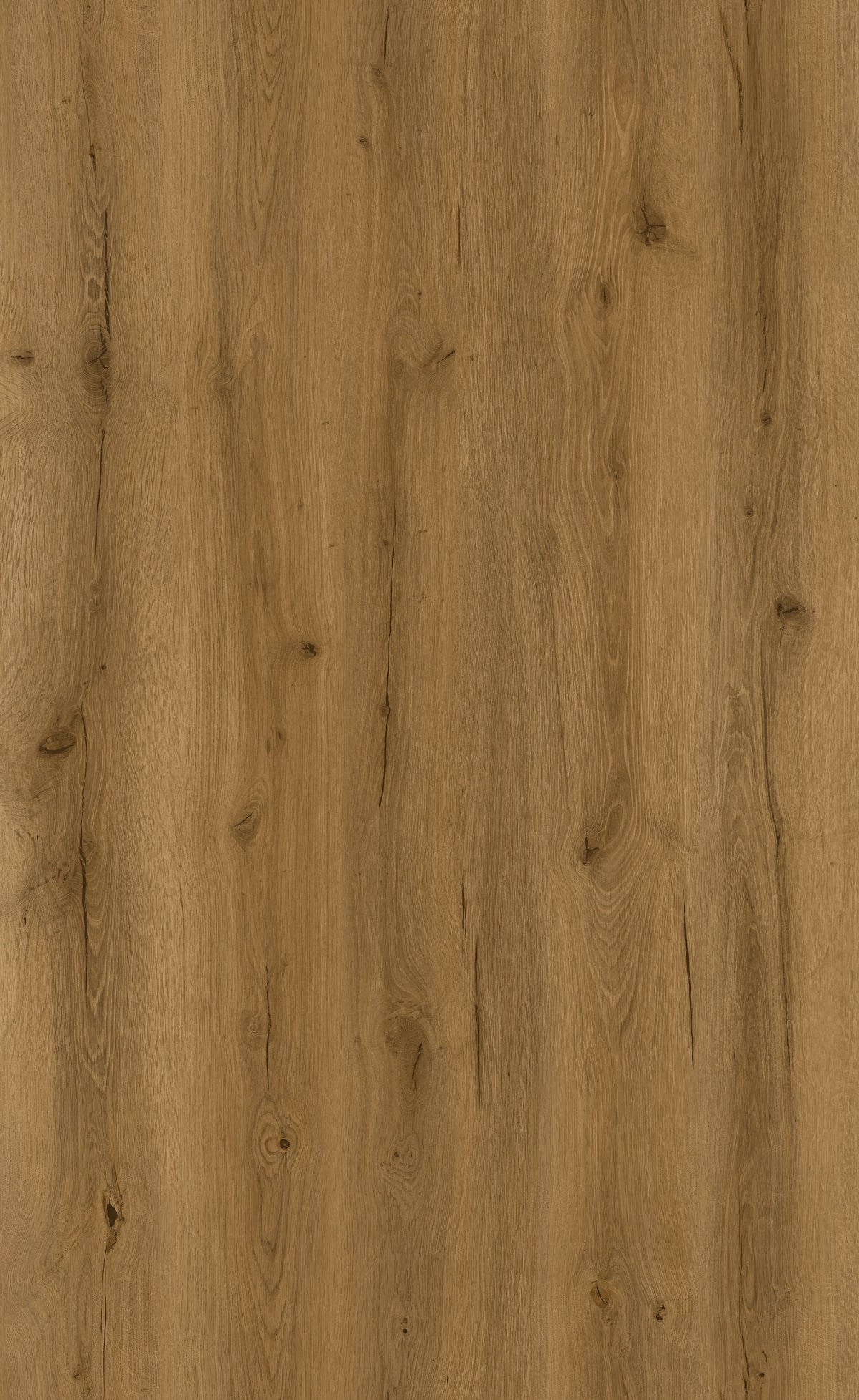 Vizion Marvelous 8 Riding 8mm SPC Vinyl Plank 7.2x60.8 - Riding