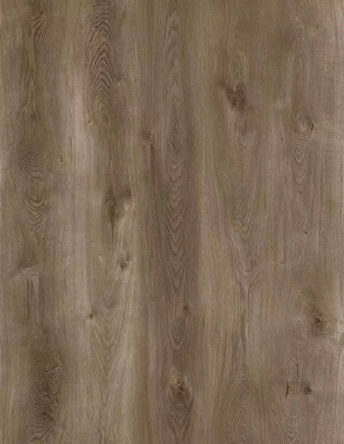 Vizion Marvelous 8 Aulavik 8mm SPC Vinyl Plank 7.2x60.8 - Aulavik