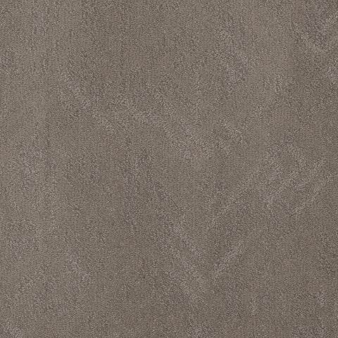 Anthropology carpet in History 858
