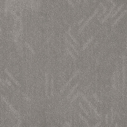 Anthropology carpet in Monument 949