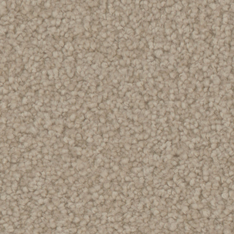 Avalon carpet in Grove 721