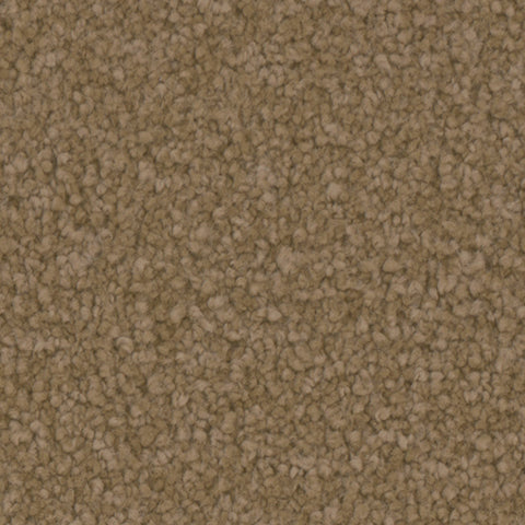 Avalon carpet in Treasure 731