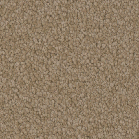 Balmoral carpet in Gallery 737