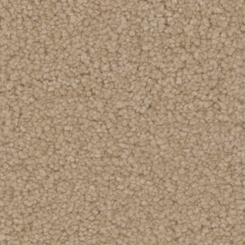 Avalon carpet in Bungalow 748
