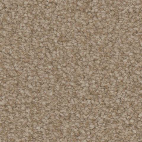 Balmoral carpet in Cottage 851