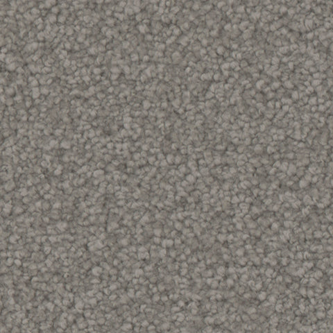 Tarkett Avalon PET Carpet