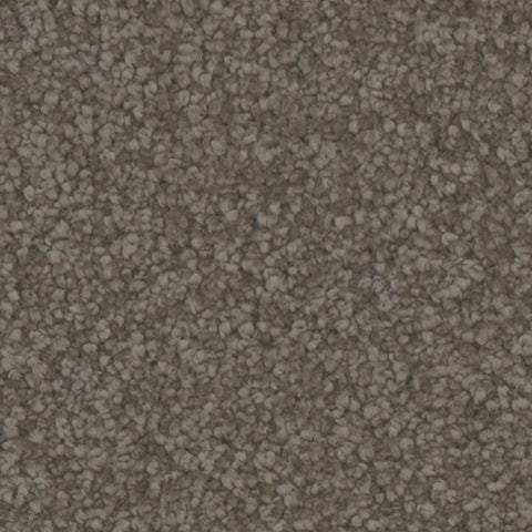 Avalon carpet in Landmark 969