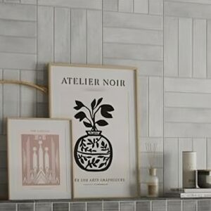 Sarana Dur Imagine Imagine White Brillo Porcelain Tile 6x25cm - Sarana Tile