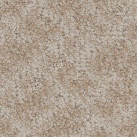 Cheshire carpet in Storybook 711