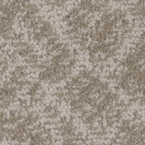 Cheshire carpet in Charming 847