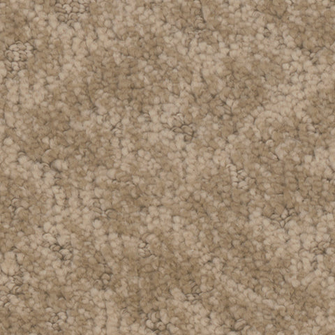 Cheshire carpet in Dwelling 852