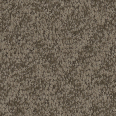 Cheshire carpet in Historic 868