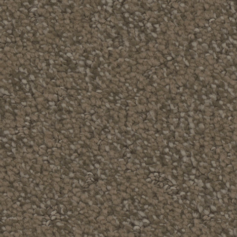 Cheshire carpet in Whimsical 959