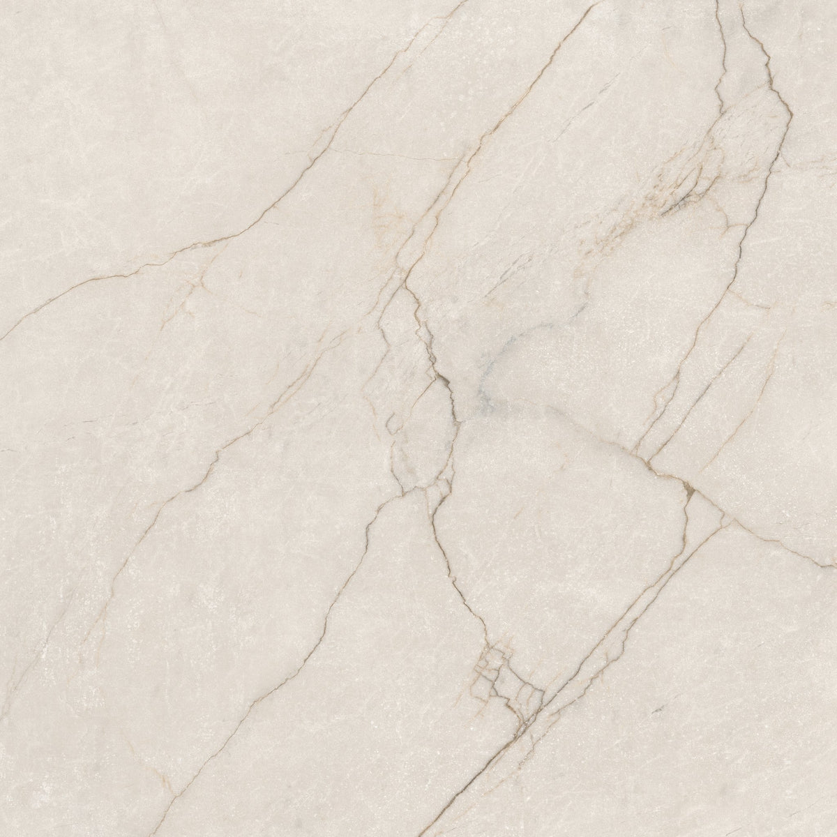 Class Avorio Matte Porcelain Tile