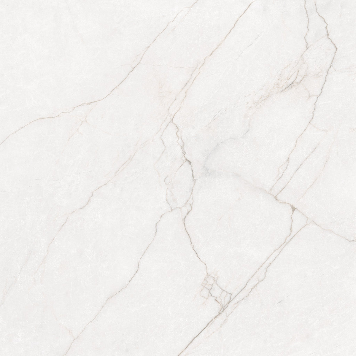 Class Bianco Matte Porcelain Tile