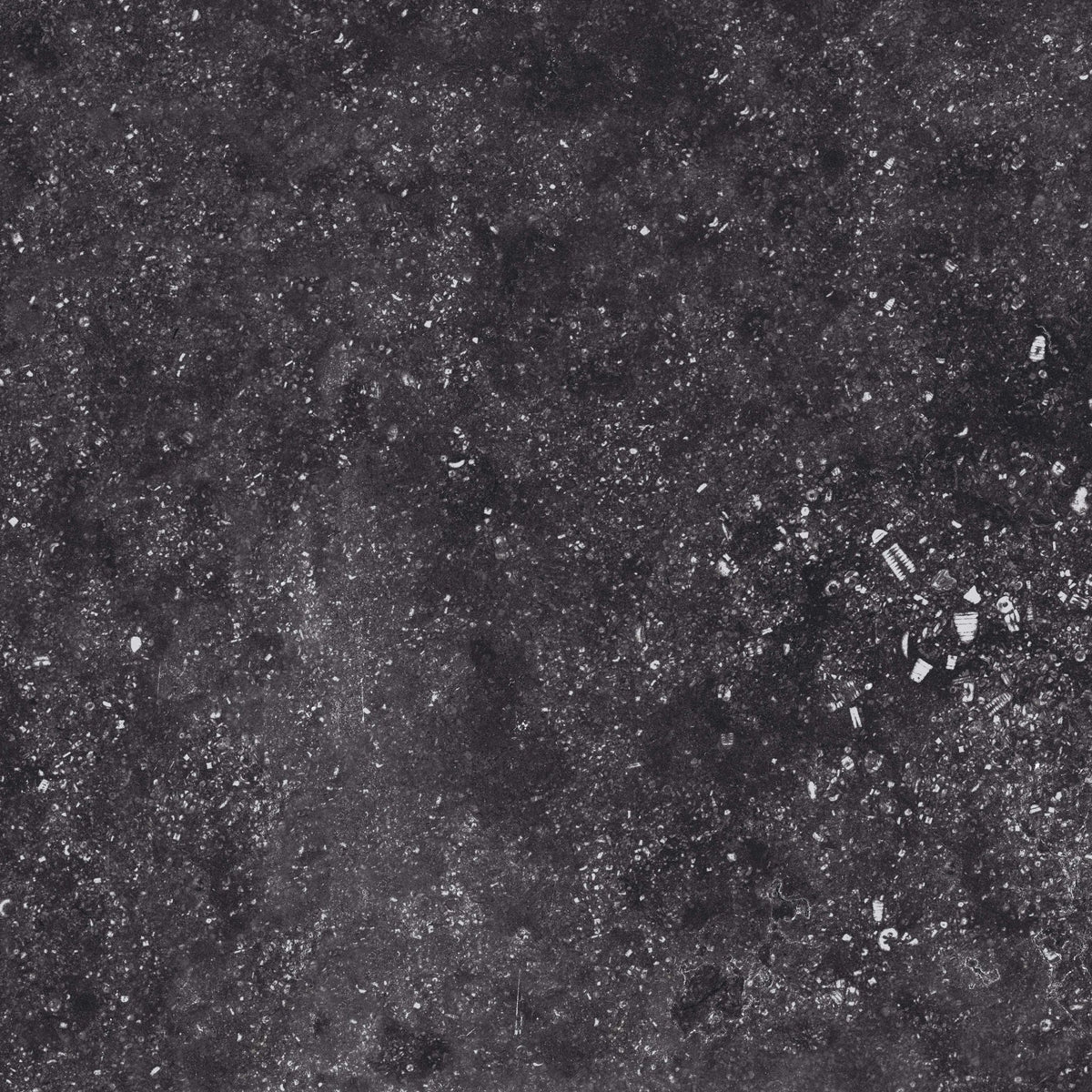 Concert Black Matte Porcelain Tile