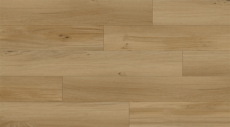 Sagebrush Dryback Vinyl 2.0 Glue-Down Vinyl Flooring