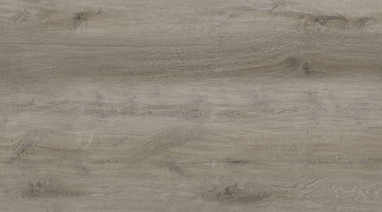 Shaughnessy Dryback Vinyl 2.5 Glue-Down Vinyl Flooring