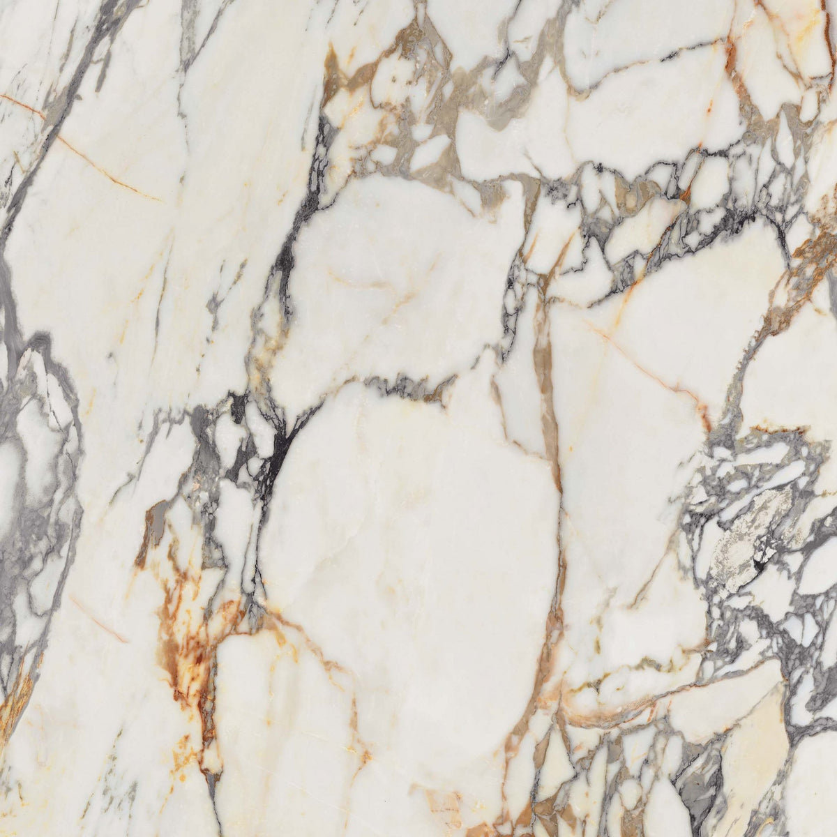 Epoque 21 Arabescato Porcelain Tile