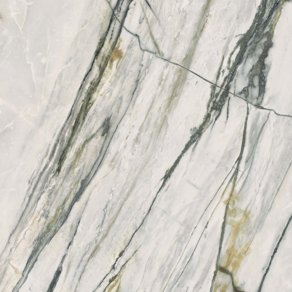 Epoque 21 Calacatta Bamboo Porcelain Tile