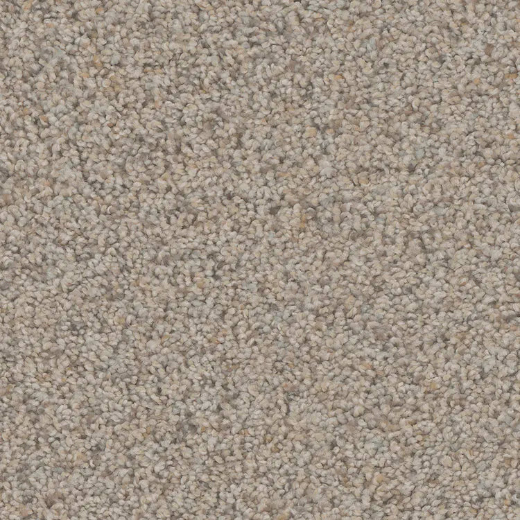 Hydra Carpet