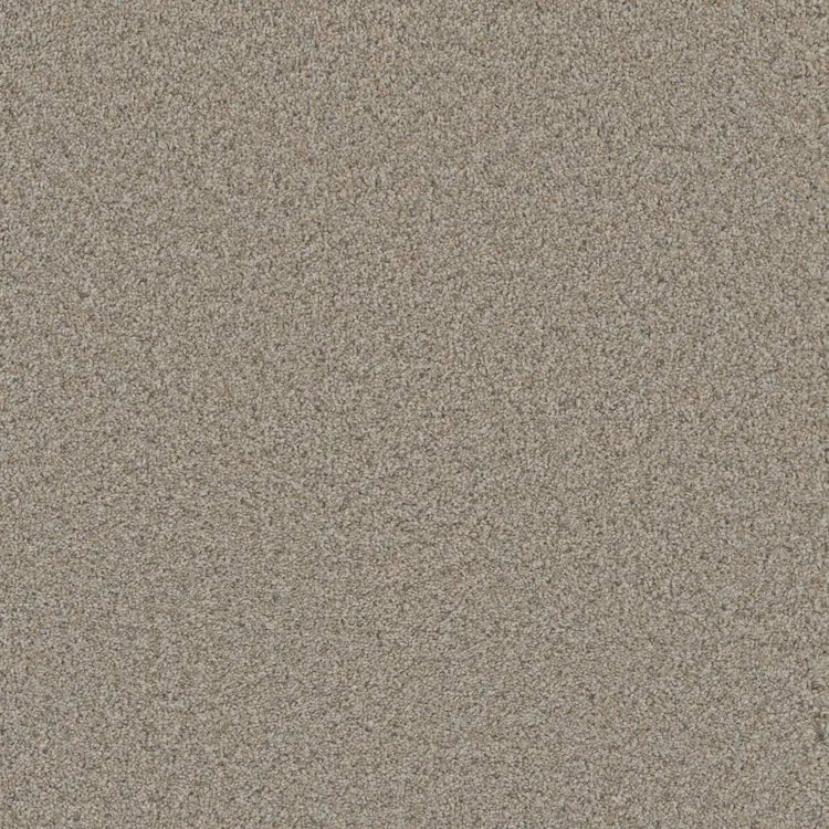Hydra Carpet