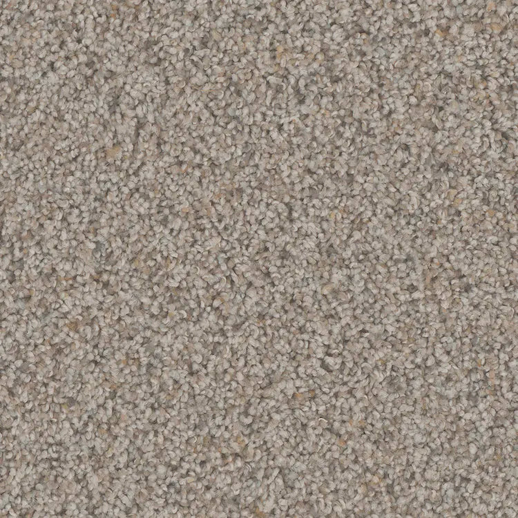 Hydra Carpet