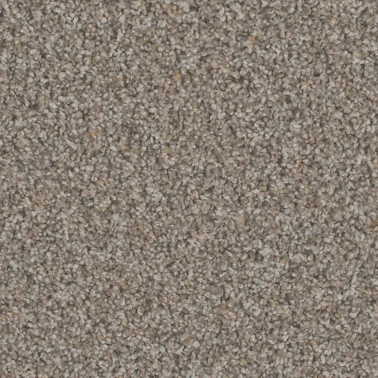 Hydra Carpet