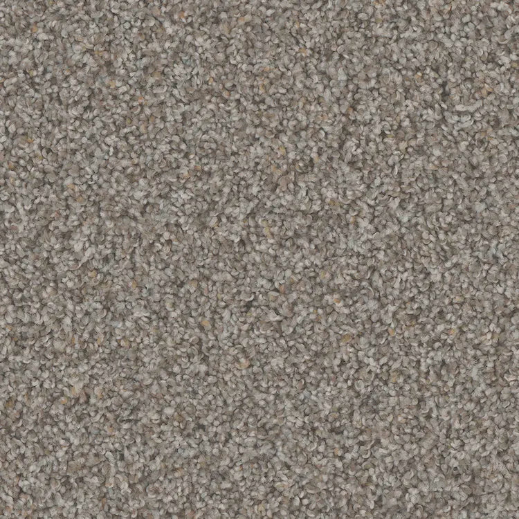 Hydra Carpet