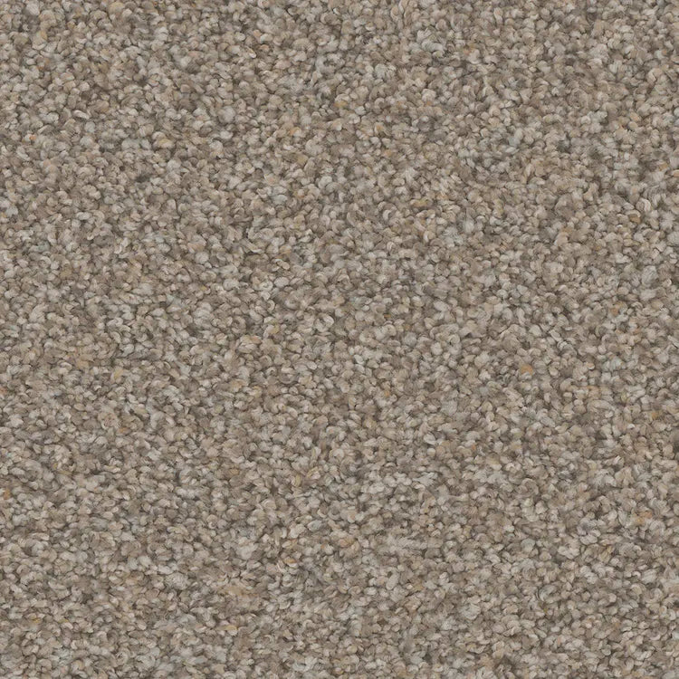 Hydra Carpet
